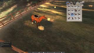 6 - Animpet Horse Tutorials: HUD Explained