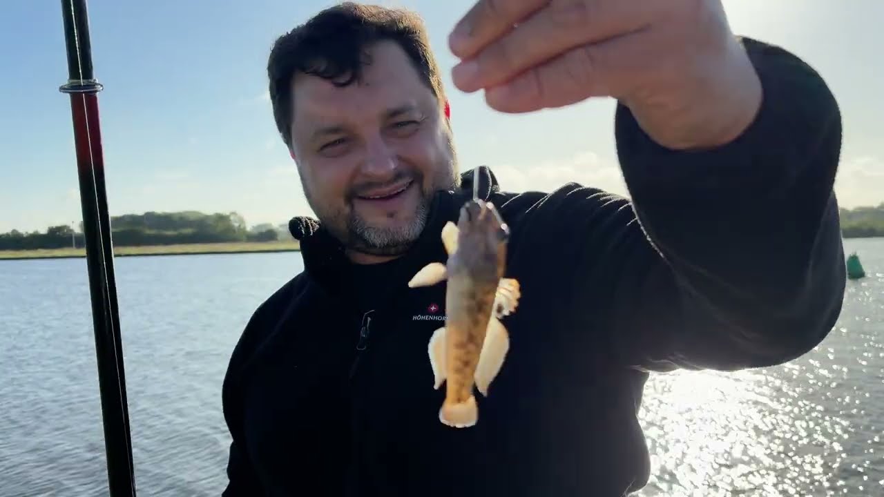 Maas river, good weather, caws, fish