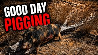 A Good Day Pigging