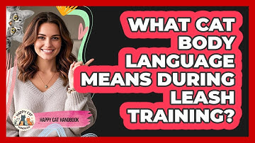 What Cat Body Language Means During Leash Training? - Happy Cat Handbook
