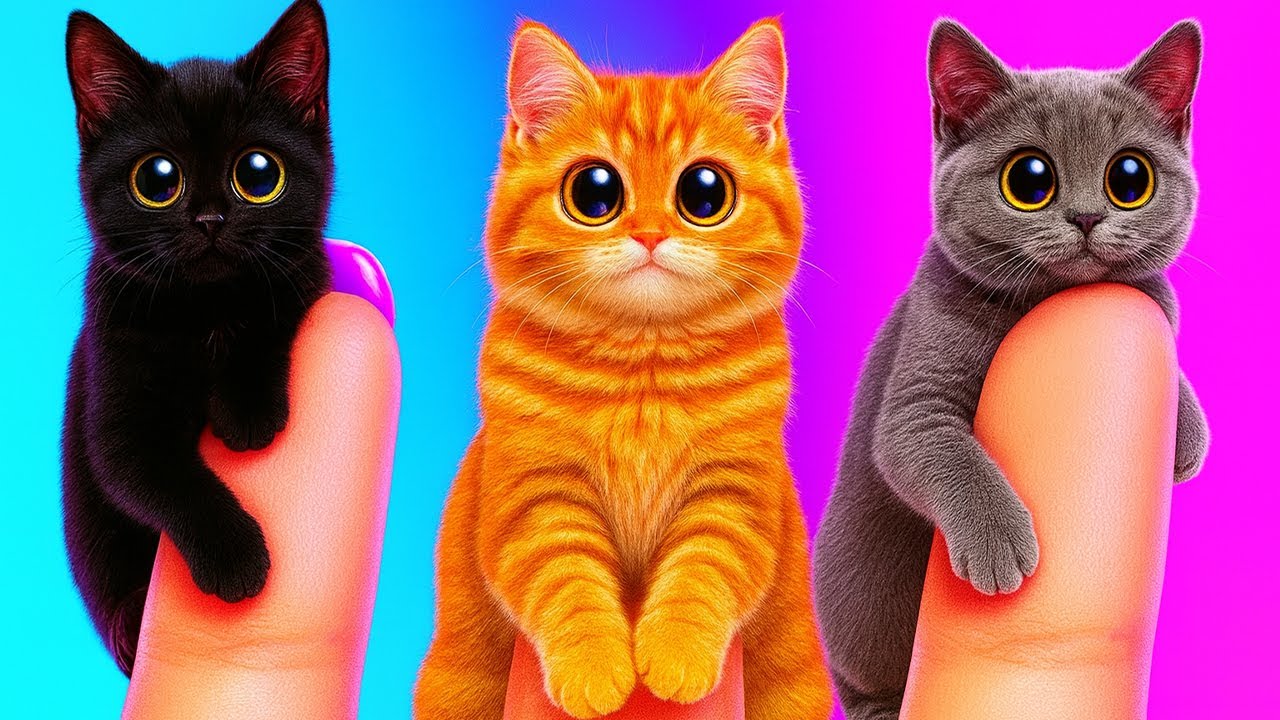 Don t Forget The Paws Best Gadgets And Hacks For Pet Owners YouTube don-t-forget-the-paws-best-gadgets-and-hacks-for-pet-owners-youtube