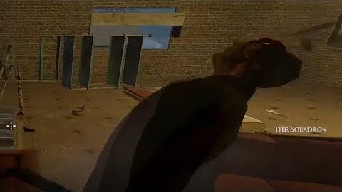 Zombie Panic Source | Props Play for the Zombie Team