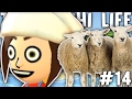 DELLE PECORE SI INNAMORANO DELLA RAGAZZA PATATA - Tomodachi Life #14