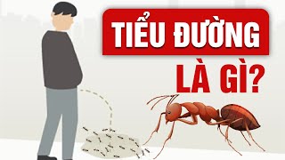 Hiểu Về Bệnh Đái Tháo Đường | Dr Ngọc