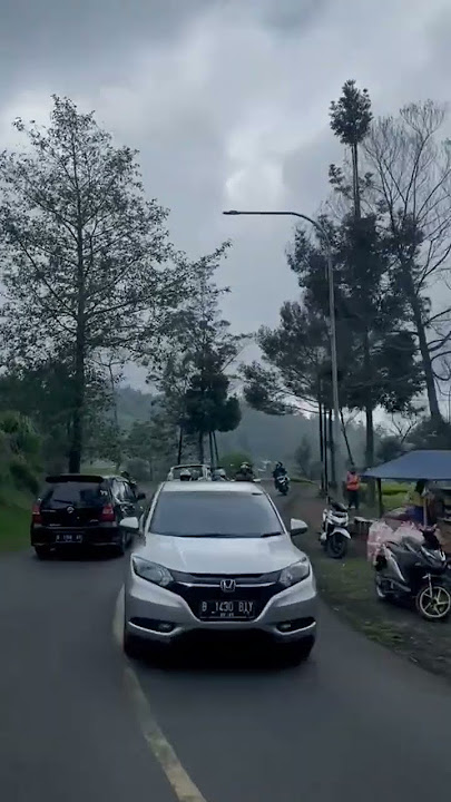 vlog kebun teh Ciwidey Bandung #musicapp #story #musicplayer