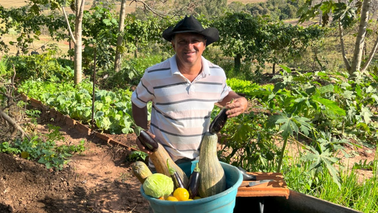 PLANTANDO MUDAS, REFORMANDO CANTEIROS E FAZENDO UMA COLHEITA SURPREENDENTE NO FINAL
