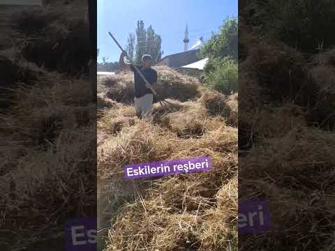 patos var dediler