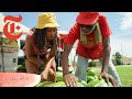 Philadelphia’s Famous Watermelon Stand | NYT Cooking