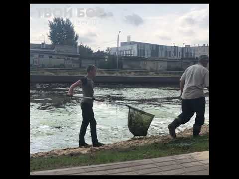 Город Бор. Мухинское озеро. Лето 2019.