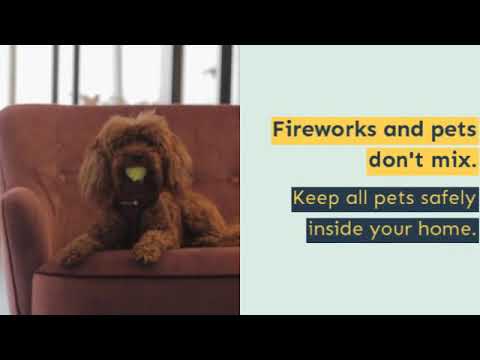stay-safe-with-firework-safety-tips-from-chase-insurance-group!