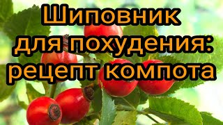 Шиповник для похудения: рецепт компота. Как похудеть дома. Как сбросить лишний вес. Худеем правильно