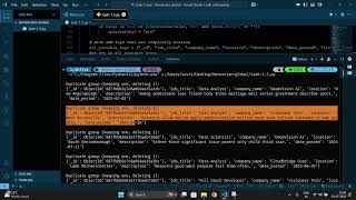 Noveracian-Global : Task 1.5: Implement data validation checks.