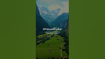 هو الذي انزل السكينه | عبدالرحمن مسعد | سوره الفتح