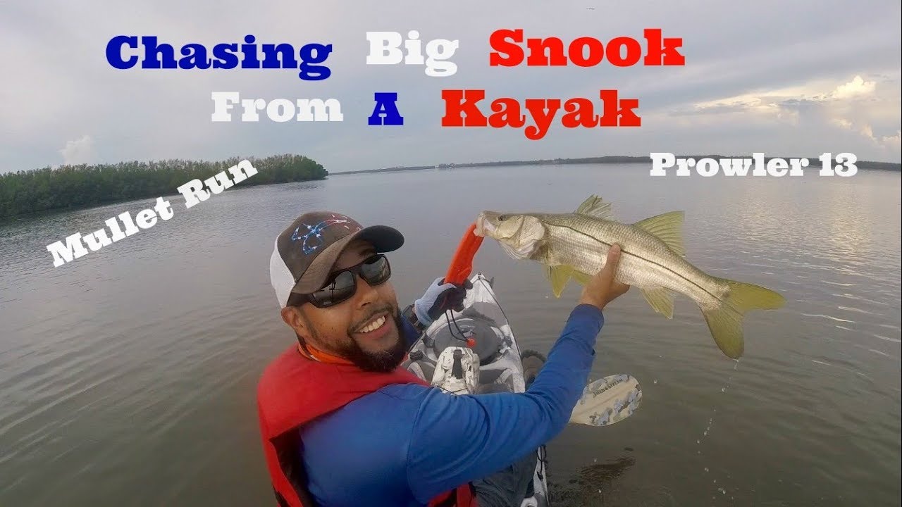 Kayak Fishing South Florida for Snook Ocean Kayak Prowler 13 YouTube