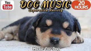 20 HOURS of Dog Calming Music🐶💖Anti Separation Anxiety Relief Music🦮🎵Soothing Dog Music⭐Healingmate