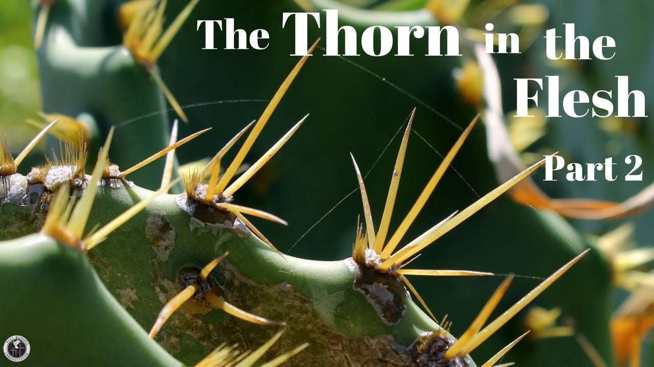 Sunday Sermon 1/21/18 "The Thorn in the Flesh" Part 2 FGCC YouTube