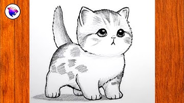 How to Draw an Easy Cat - Step by Step Pencil Drawing of a Cat - Animal Drawings