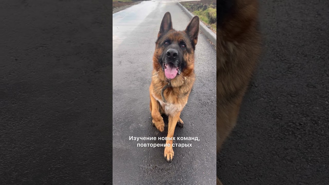 14 октября 2025 г.