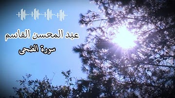 سورة الضحى بصوت عبد الرحمن القاسم | تلاوة خاشعة تهز القلوب 🤍