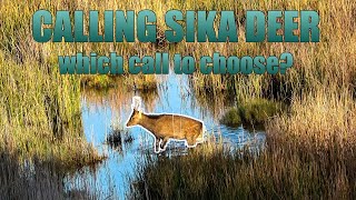 CALLING SIKA DEER: Which call to choose?