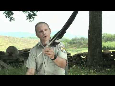 California Condor Preservation at Hopper Mountain