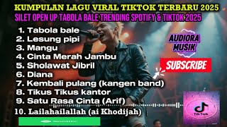KUMPULAN LAGU CAMPURAN VIRAL | HITS SPOTIFY & TIKTOK TERBARU 2025