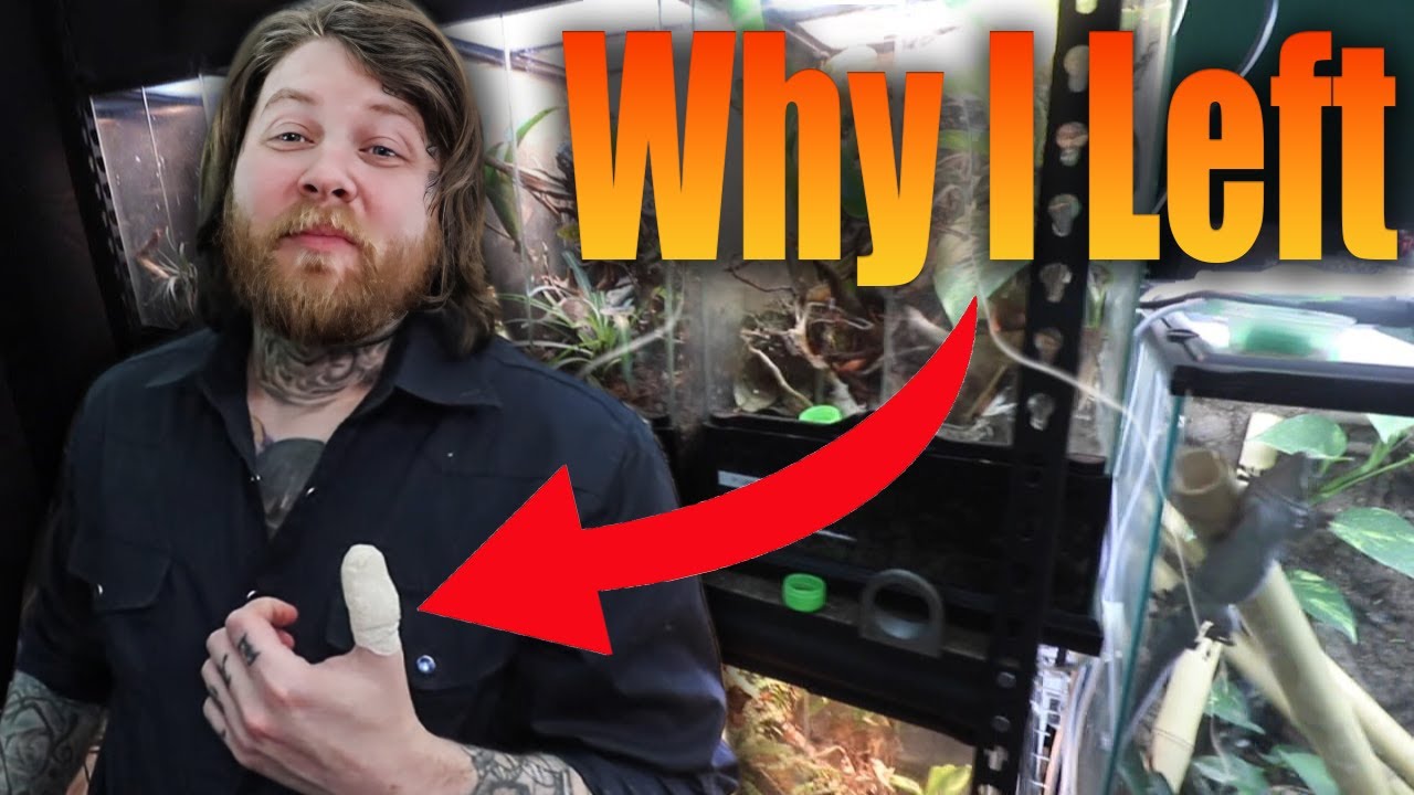 Что случилось с Dakotah Blue Exotics?