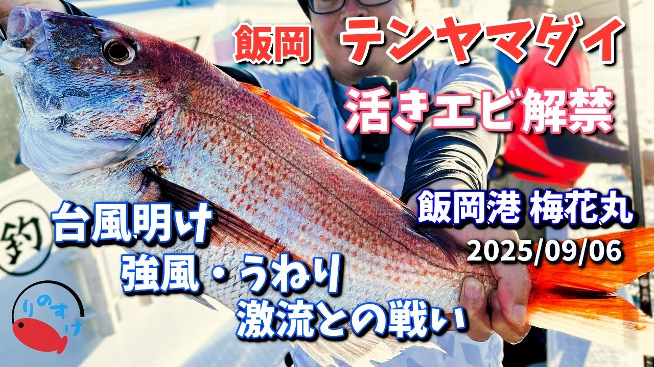 【テンヤマダイ】活きエビ解禁の飯岡で大鯛チャレンジ あいにく海況悪く苦悩の釣り【飯岡港 梅花丸】