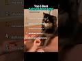 Ranking Animals Best Moments! 🐮🐕 #funny #ranked #shorts #fyp