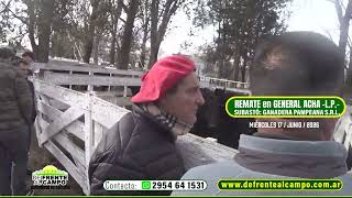 REMATE de GANADERA PAMPEANA S.R.L. - MIÉRCOLES 17 / JUNIO / 2026 - GENERAL ACHA -L.P.-