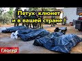 Я сам белый , так что без обид ребята  ! Нечесть и ЕЁ щупальцы ! Петух клюнет и у вас в стране !