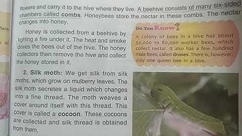 DAV Nahan Class-IV Science Lesson-6, Part-7