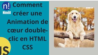 Comment créer une  Animation de cœur double-clic en HTML CSS