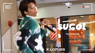 25/12/21 SUGOI - Tui Focus 