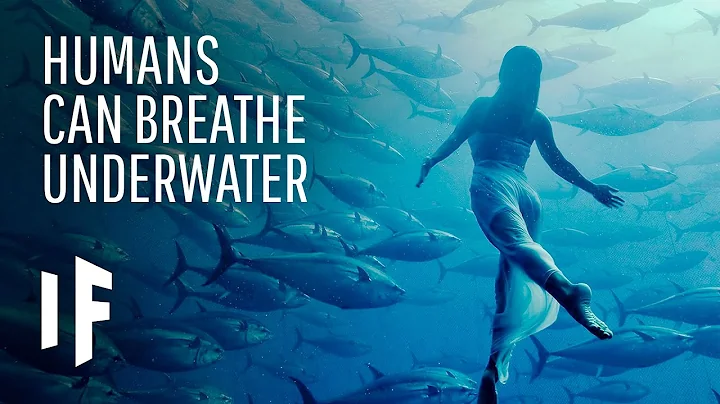 What If We Could Breathe Underwater? - DayDayNews