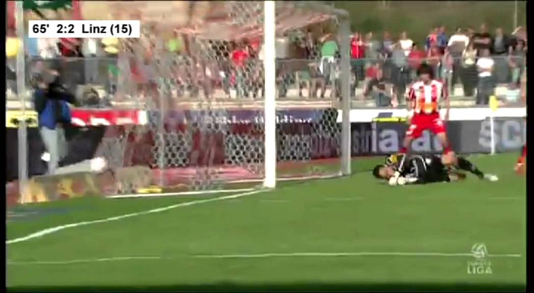 Austria Wien - 2010-11 - Alle Tore Runde 19 bis 36 - 100 Jahre