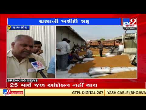 40 farmers turn up to sell chick peas at MSP at Dhoraji APMC, Rajkot | TV9News