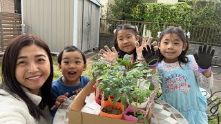 PLANTING OUR OWN VEGGIES WITH KIDS | Filipino Japanese Family in Japan | shekmatz