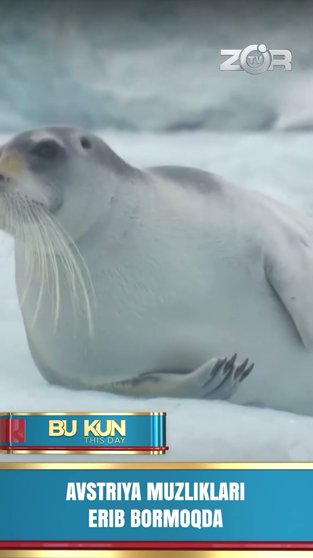 BU KUN