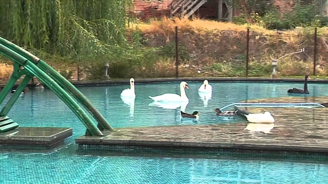 Gio Khatia park SAMEBA