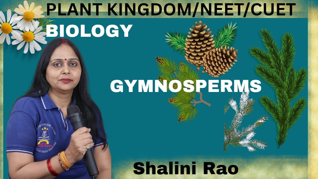 Plant Kingdom I Gymnosperms I Naked seeds I Non-flowering plants I Seed plants I Ovules exposed I