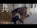 【ターファイトクラブ】　Impress19 シンハプーラ2025☘️☘️〜正式な募集情報を発表〜