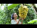 Harvest yellow banana in my homeland and make banana cake - Healthy food