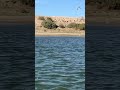 #fishing #рыбалканаозере #carpfishing #рыбалканафидер #carp #балык #рыбалка2025 #карпфішинг