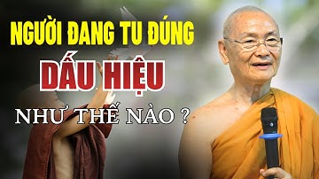 Người Đang Tu Đúng sẽ có Dấu Hiệu gì ? HT. Viên Minh (Nghe rất hay)