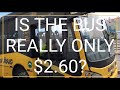 How to take the bus in Aruba to Eagle Beach and Plam Beach from the cruise ship pier for $2.60 US