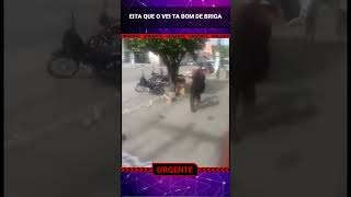 Esse É Bom De Briga Hahahaha Çado