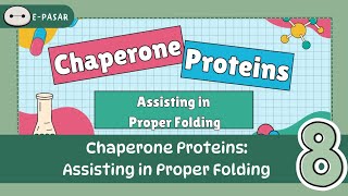 Chaperone Proteins: Assisting in Proper Folding  │  Topic 8