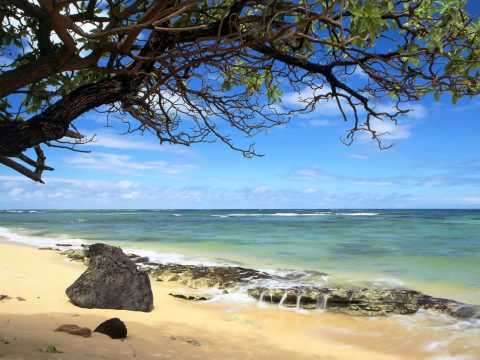 سورة إبراهيم للشيخ المقرئ رشيد الغزواني رحمه الله