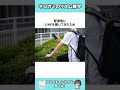 【ネコガミ】たぬかなのリズム雑学Part97 #リズム雑学 #雑学